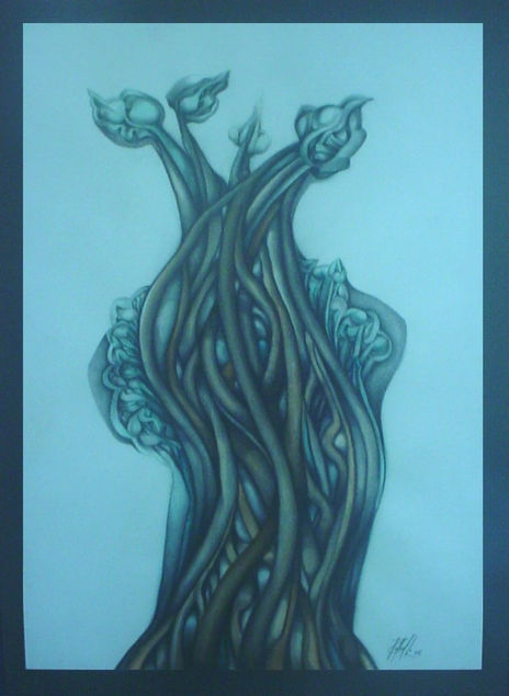 Bonsai