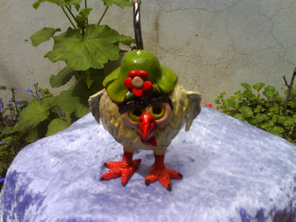 Mate pollito