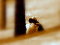 silencio...