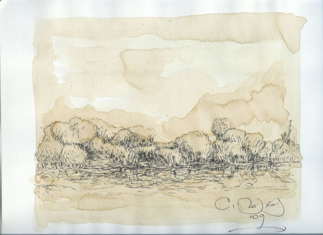 PAISAJE PARA VER
