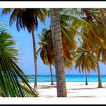 Caribe thumbnail 2