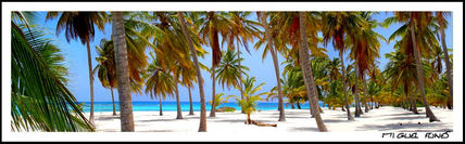 Panoramica isla Saona