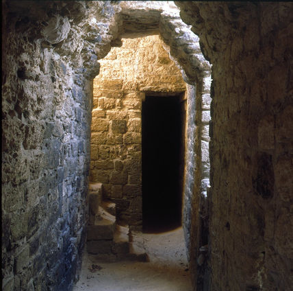 Chicaná