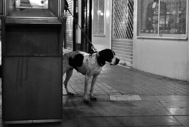 esperando la conversación Photojournalism and Documentary Black and White (Digital)