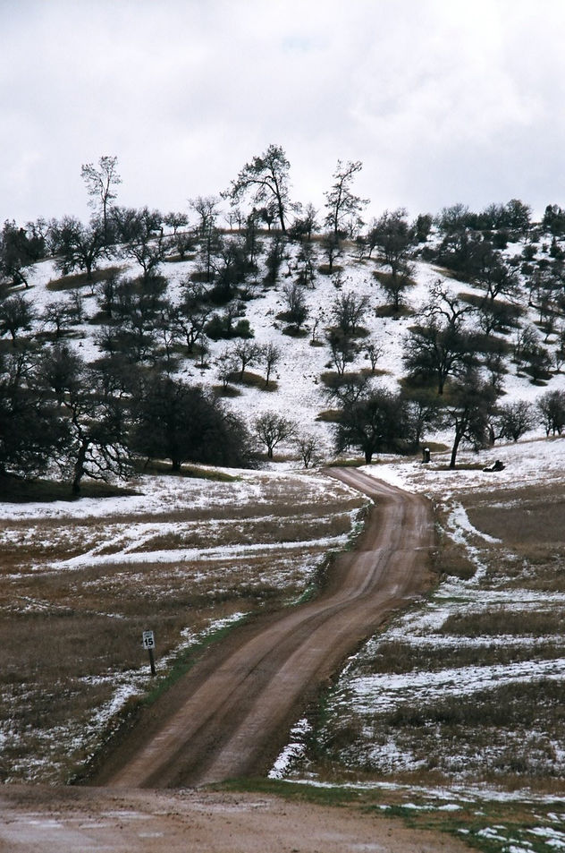 LA NIEVE IV