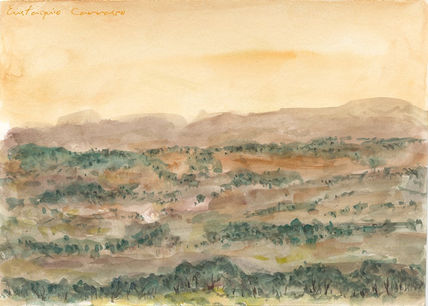 Montes de encinas...