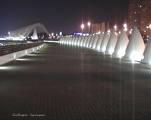 Paseo nocturno por la Ciudad de las Artes y las Ciencias de  Valencia