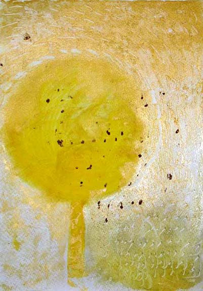 arbol 20