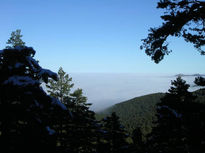 Navacerrada