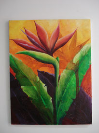 Heliconia