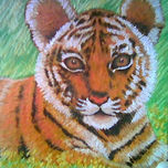 Ternura thumbnail 2