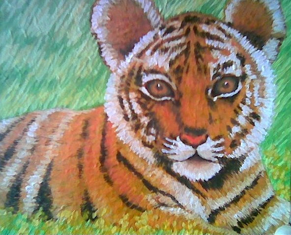 tigre pequeño 