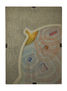 Antibodies