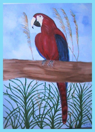 Guacamayo rojo Oil Canvas Landscaping