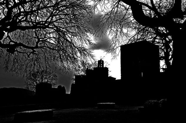 pals en blanco y negro