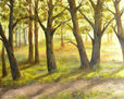 BOSQUE NUEVA ATLANTIS