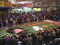 ALFOMBRAS CON PETALOS DE FLORES