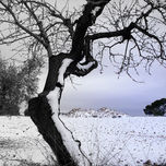 PAISAJES thumbnail 1