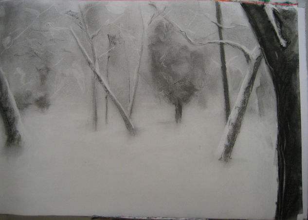 arboles nevados Charcoal