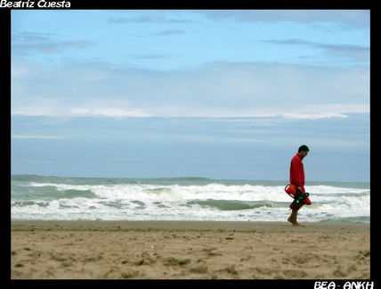 Dia Gris