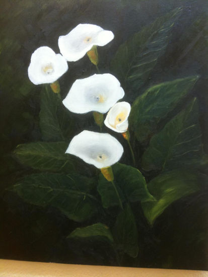 calas Oil Canvas Floral Painting