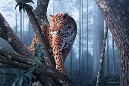 Jaguar en la jungla