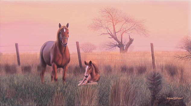 Una tarde tranquila Oil Canvas Animals