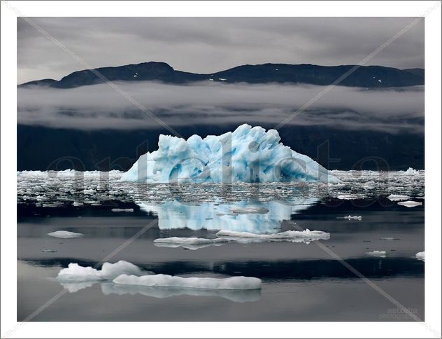 Iceberg