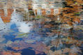 Reflejos