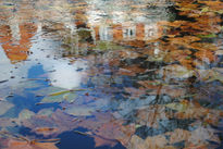 Reflejos