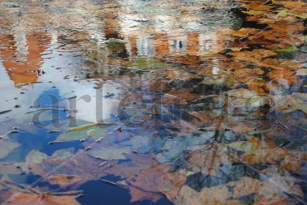 Reflejos 