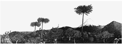 Mapuche