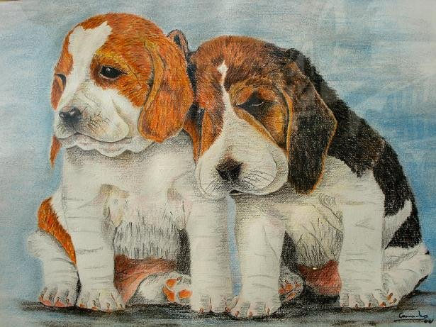 CACHORROS