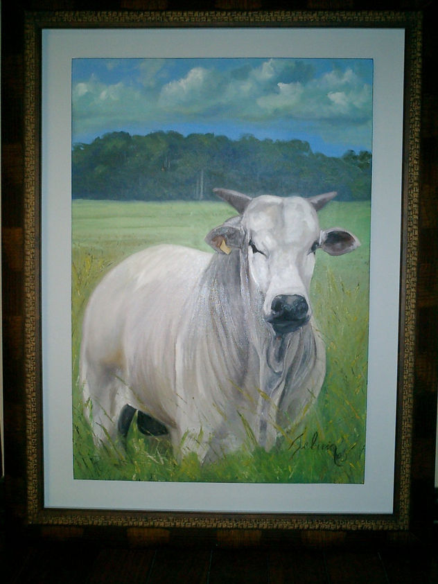 toro en el campo