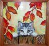 GATITO AL ACECHO