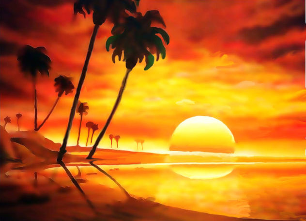 Oasis