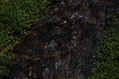 Riachuelo 1