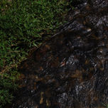 Paisaje natural thumbnail 1
