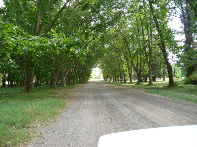 camino a la paz 