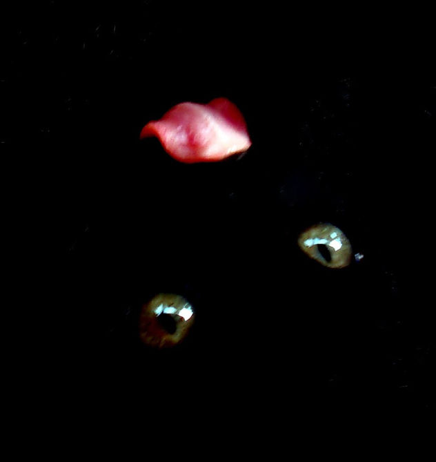 cantaro