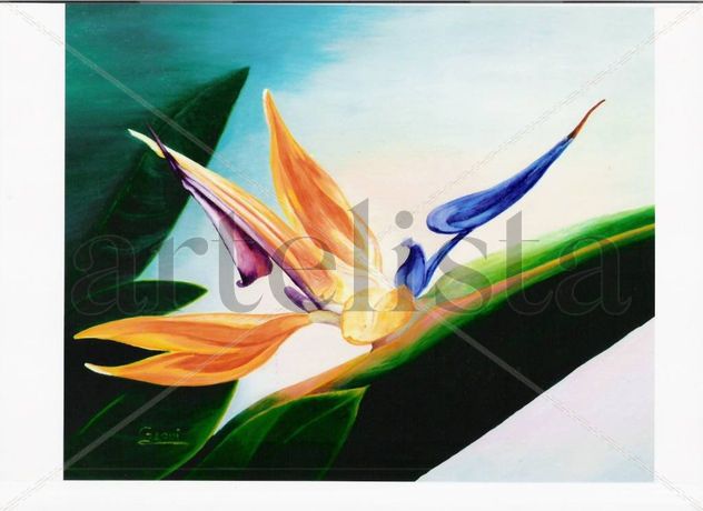 FLOR DEL AVE DEL PARAISO