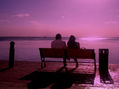 .What.coulour.is.love?.