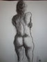 desnudo