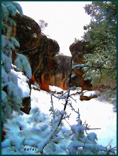 NIEVE Naturaleza Color (Digital)