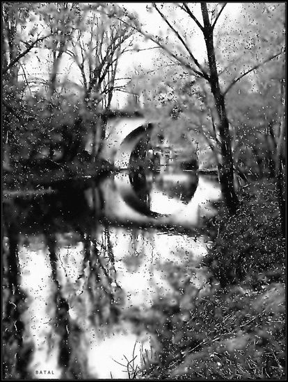 PUENTE Nature Black and White (Digital)