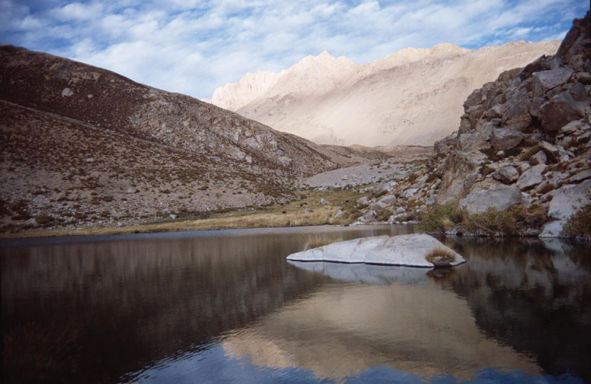 El Cepo