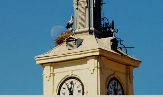 La cigüeña y la luna menguante