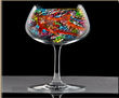 salud delfin