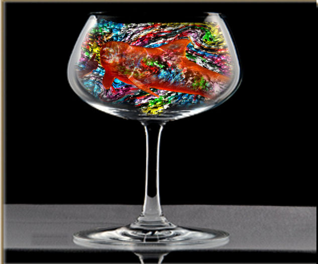 salud delfin 
