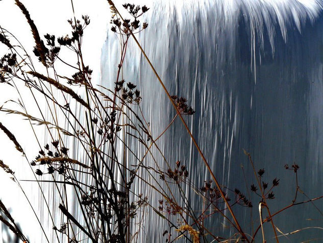 Lluvia blanca Otras temáticas Color (Digital)